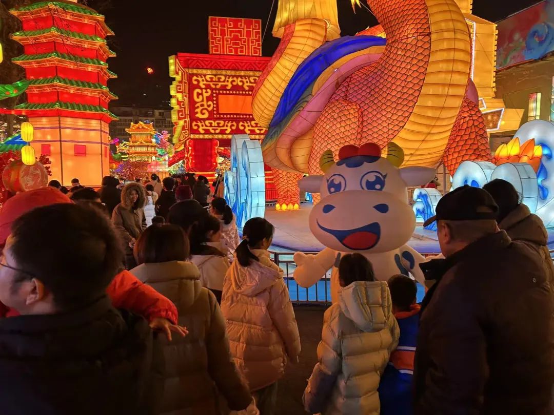 央視直播鄭州龍年燈會(huì)迎新春，花花牛品牌上大分