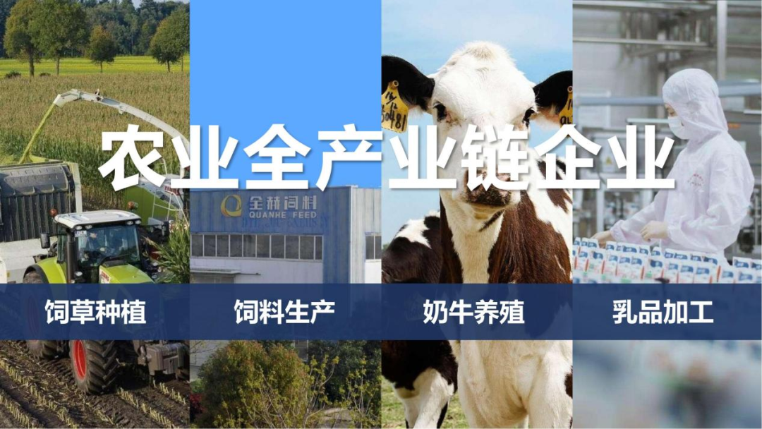 快訊 | 河南省召開培育奶業(yè)重點(diǎn)縣推進(jìn)奶源基地建設(shè)工作座談會