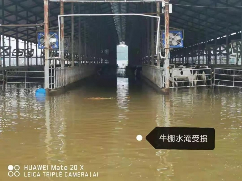 【乳報(bào)·聚焦】“豫”難而上的中原牛人“太中了”！
