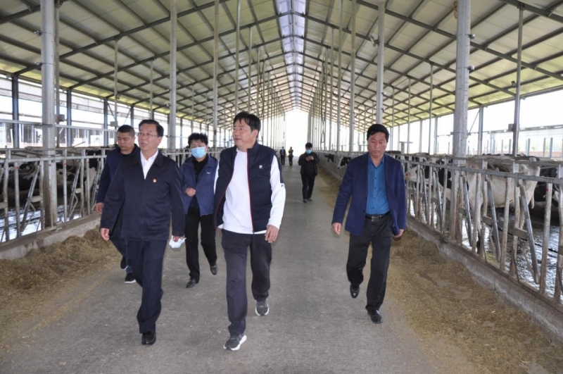 商丘市委常委、宣傳部部長王全周一行蒞臨睢縣瑞亞牧業(yè)有限公司調研