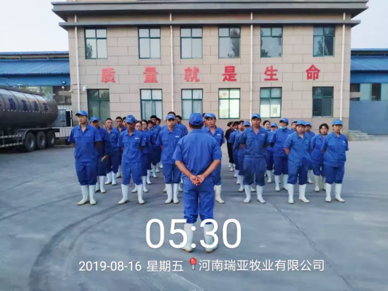小晨會(huì)·大能量——砥礪奮進(jìn)的花花牛，加油！